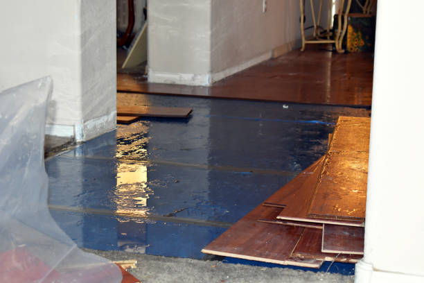 Professional Basement Flood Cleanup technician working in Crockett Mills, TN